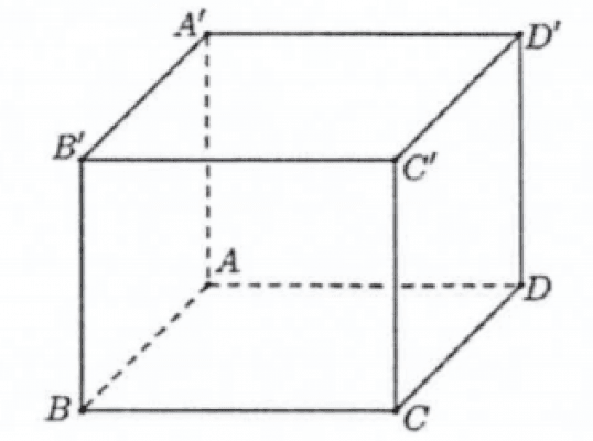 Hình ảnh minh họa cho câu hỏi: Câu 26. Cho khối lăng trụ đứng $ABCD.A' B'C'D'$ có đáy là hình thoi cạnh $a, B D=\sqrt{3} a$ và $A A^{\prime}=4 a$ (minh họa như hình bên). Thể tích của khối lăng trụ đã cho bằng