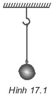 Hình ảnh minh họa cho câu hỏi:  Câu 21: Một vật nặng có khối lượng 0,2 kg được treo vào một sợi dây không dãn (Hình 17.1). Xác định lực căng của dây khi cân bằng. Lấy g = 9,8 m/s2.