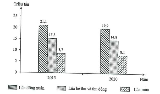 Hình ảnh minh họa cho câu hỏi: Câu 33. Cho biểu đồ về sản lượng các vụ lúa của nước ta năm 2015 và năm 2020: Biểu đồ thể hiện nội dung nào sau đây?
